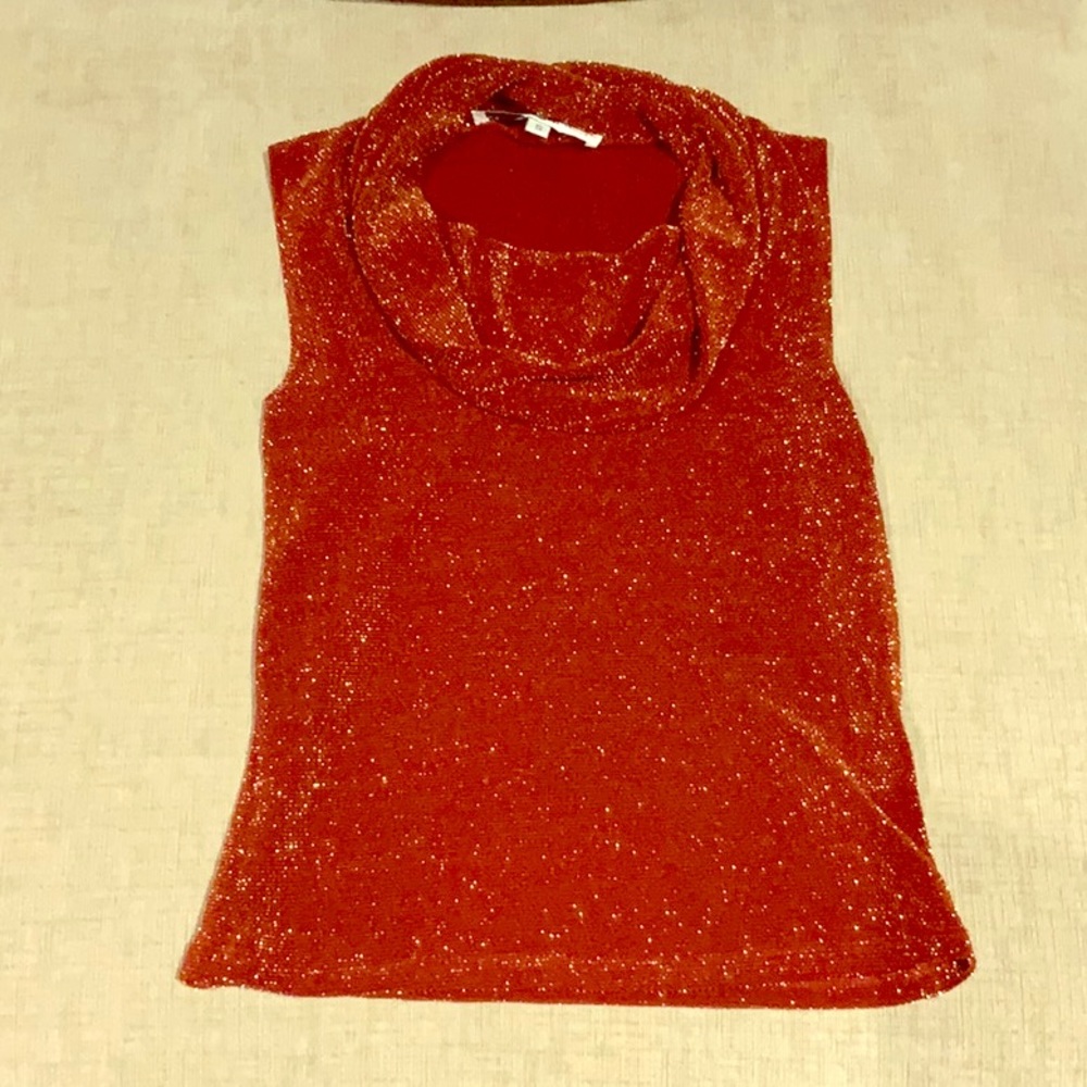 Brick red tang top turtle neck